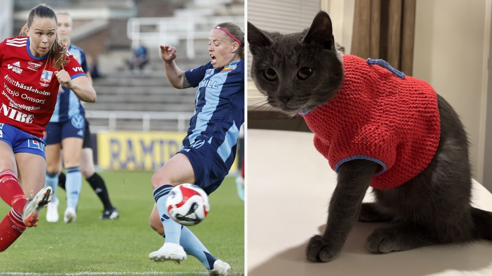 Till vänster ses en fotbollsmatch där Vittsjös Hanna Ekengren i röd tröja kämpar om bollen. Till höger visas hennes hittekatt Nisse, klädd i en röd tröja, sittande på ett golv.