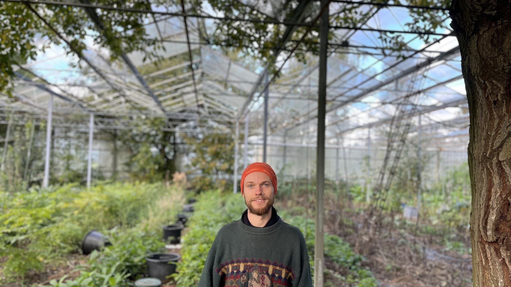 Fabian Ryft står i ett växthus omgivet av grönska och träd, med en klar himmel synlig genom taket av glas och nätstruktur.