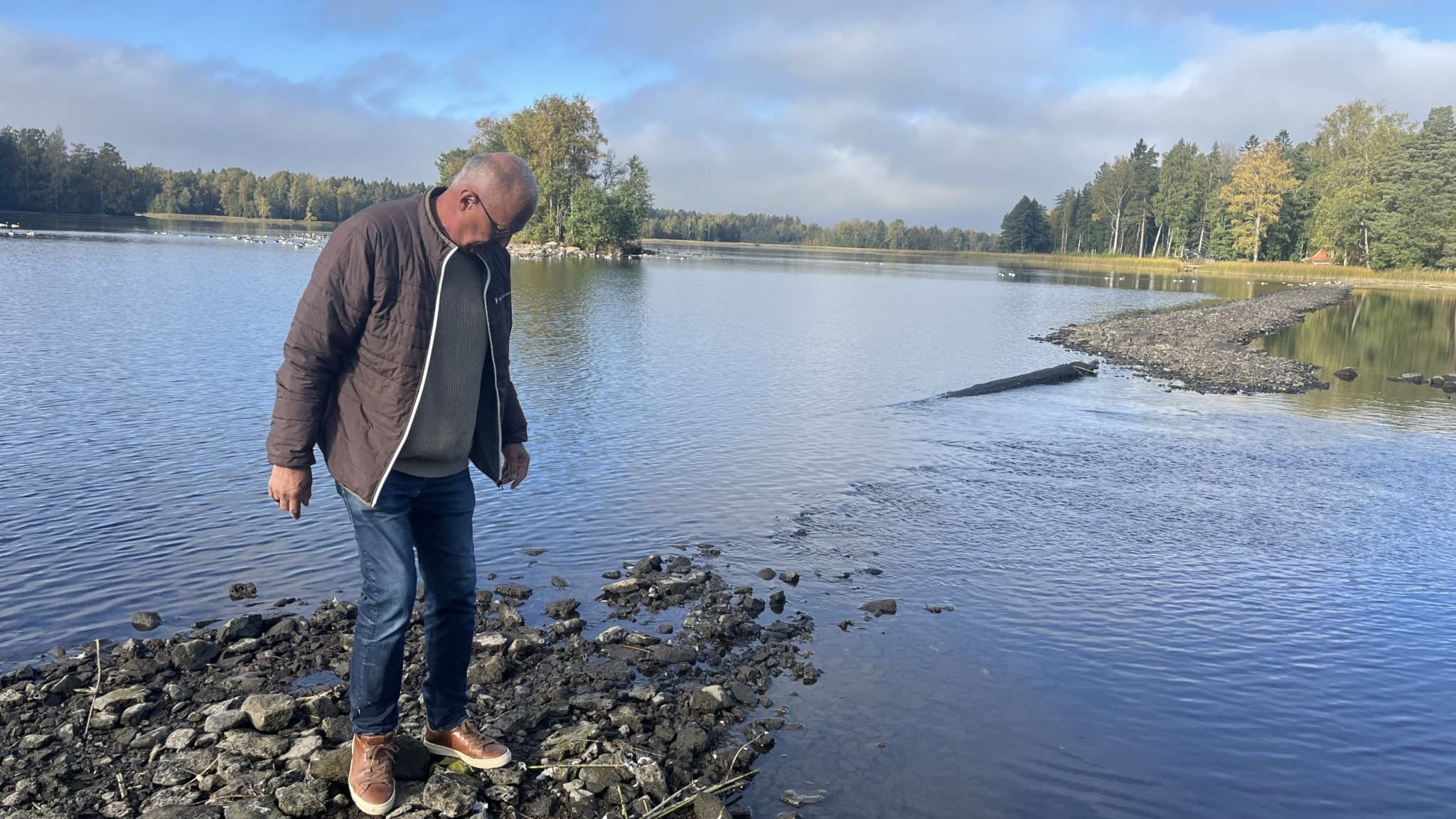 Christer Ekman, ordförande för Måns Ols-sällskapet, står vid en stenig strandkant med vatten som sträcker sig mot en skog i bakgrunden. Solen lyser svagt och höstfärger pryder träden.
