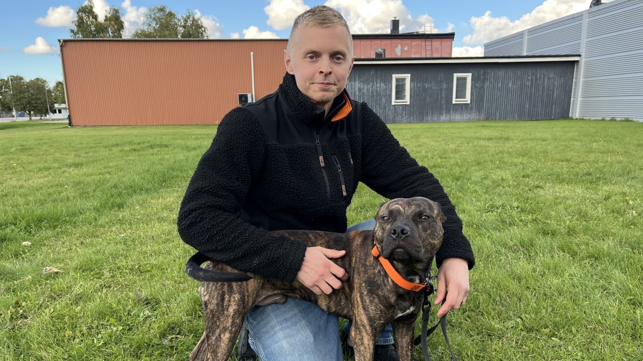 Hundtränare Jens Lundberg sitter på grön gräsmatta med sin amerikansk pitbullterrier, som bär en orange halsband och sele. En byggnad med plåtfasad syns i bakgrunden under blå himmel.