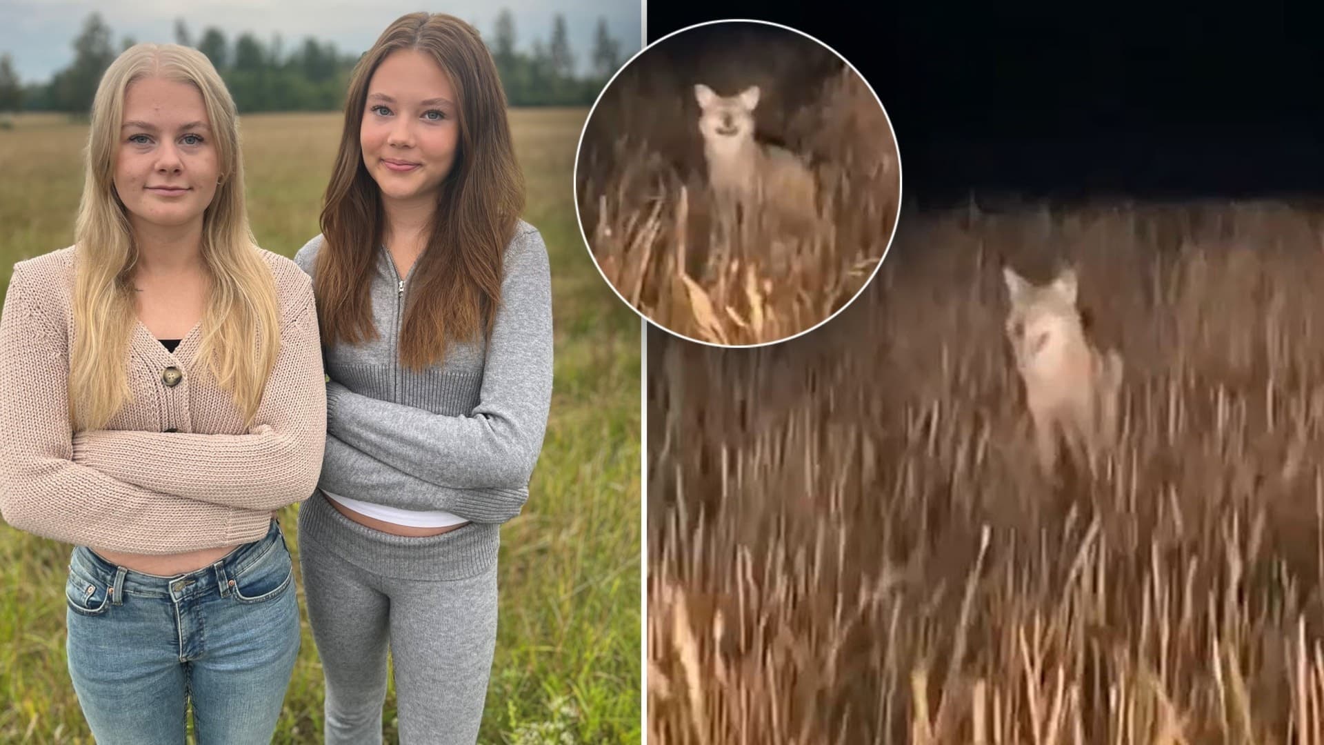 Fanny Jaensson och Minou Haraldsson 