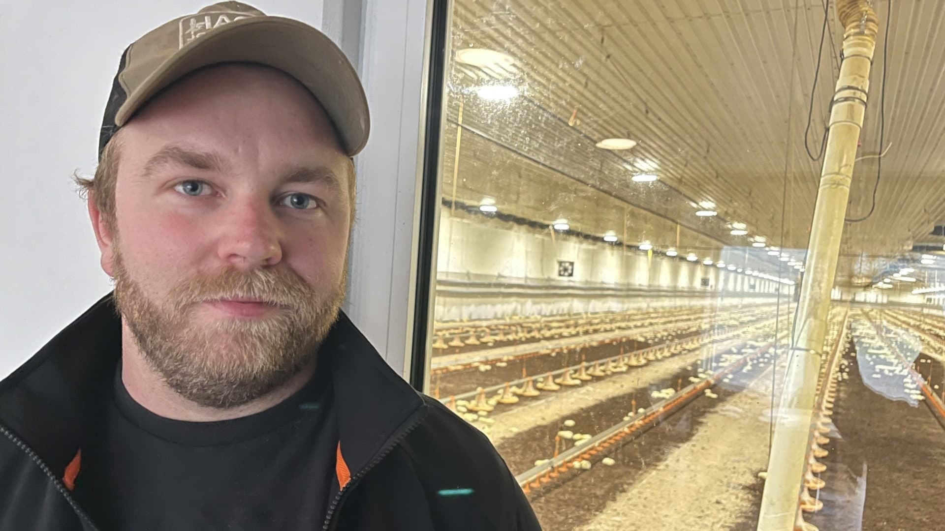 Anton Agartsson står framför ett fönster som visar interiören av en stor hönsanläggning med flera rader av burar och belysning.