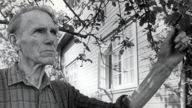 Den norske poeten Olav H Hauge (1908-1994)