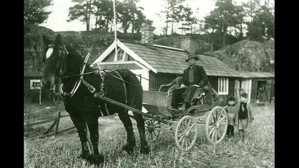 Resande Folket från tattare till traveller av Bo Hazell