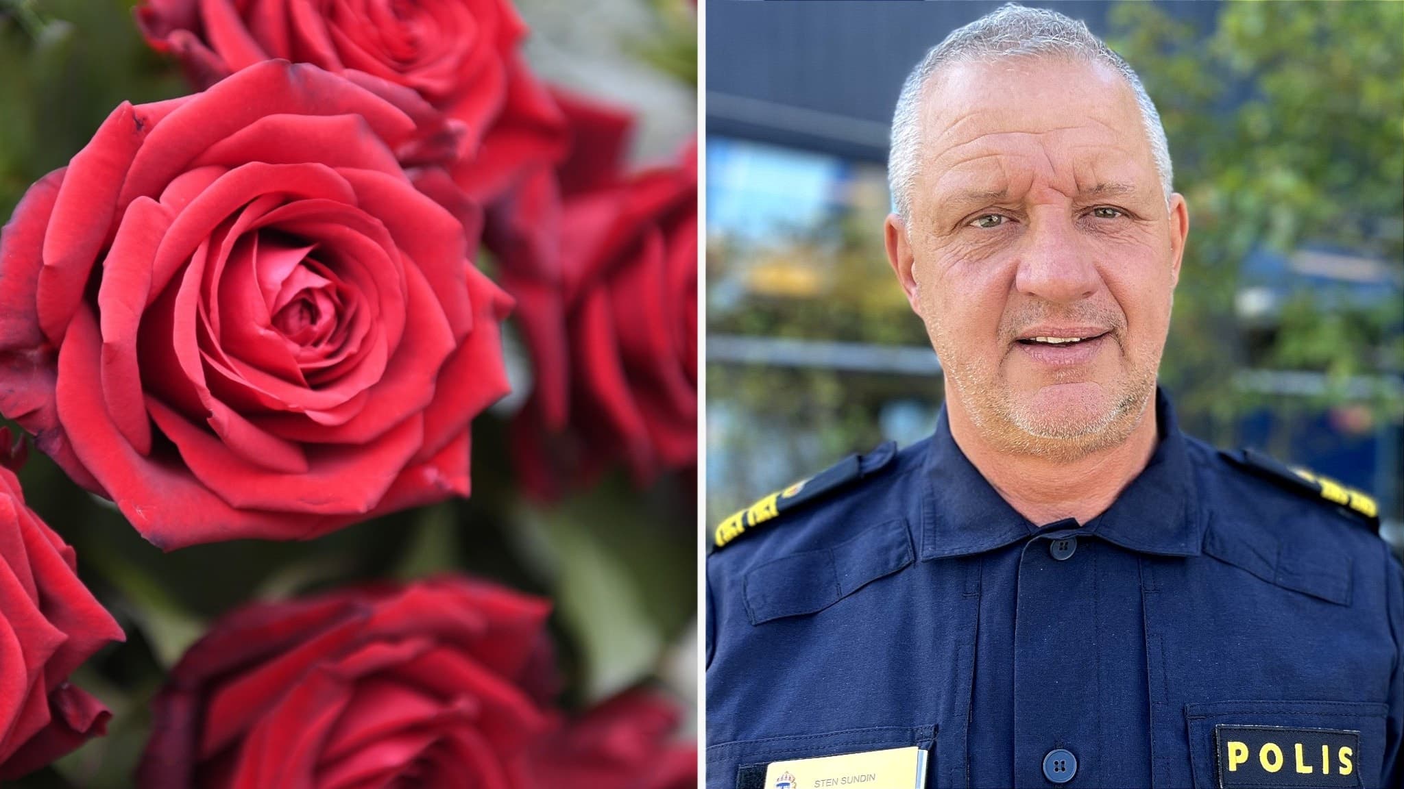 Bildmontage med röda rosor till vänster och en poliskommissarie i uniform till höger. Kriminalkommissarie Sten Sundin från Jämtlandspolisen varnar för bedrägerier kopplade till rosförsäljning.