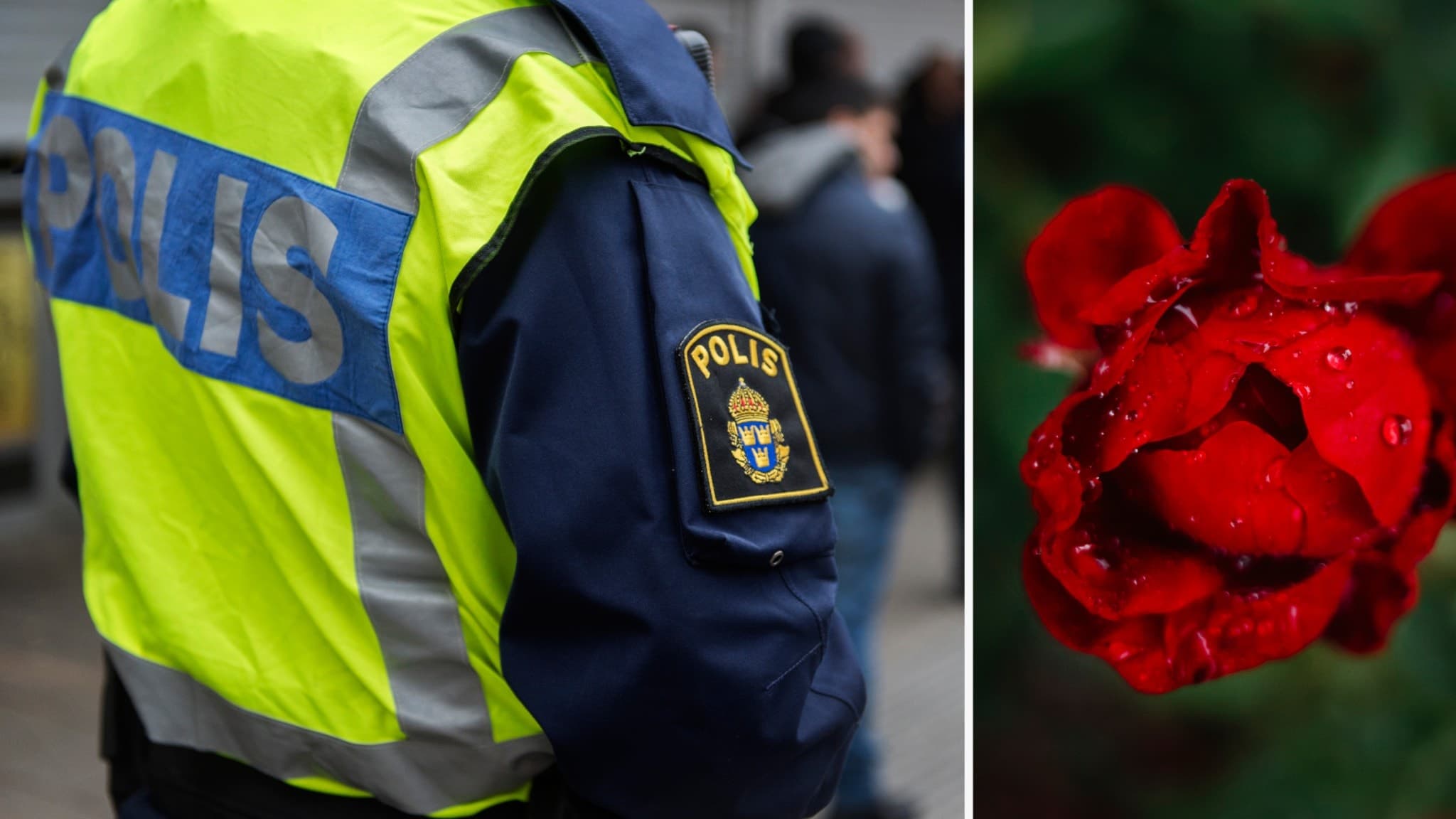 En polis i reflexväst med texten 'Polis' synlig på ryggen står bredvid en närbild av en röd ros med vattendroppar.