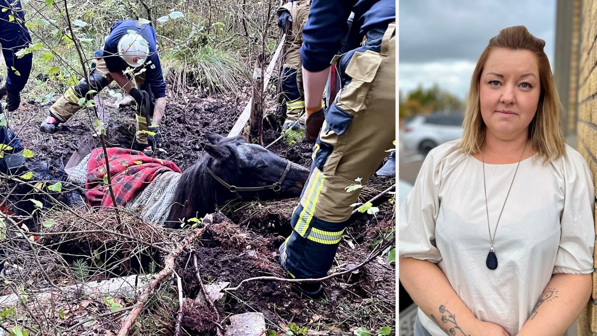 Bildsplitt. Till vänster räddningspersonal hjälper hästen Periot Ås som fastnat och sjunkit ner i marken under en ridtur. Hästen har röd utrustning på ryggen och har sjunkit med stora delar av kroppen. Endast rygg, hans och huvud syns. Till höger Jenni Byrin, hon har vit tröja på sig och ser allvarlig ut.