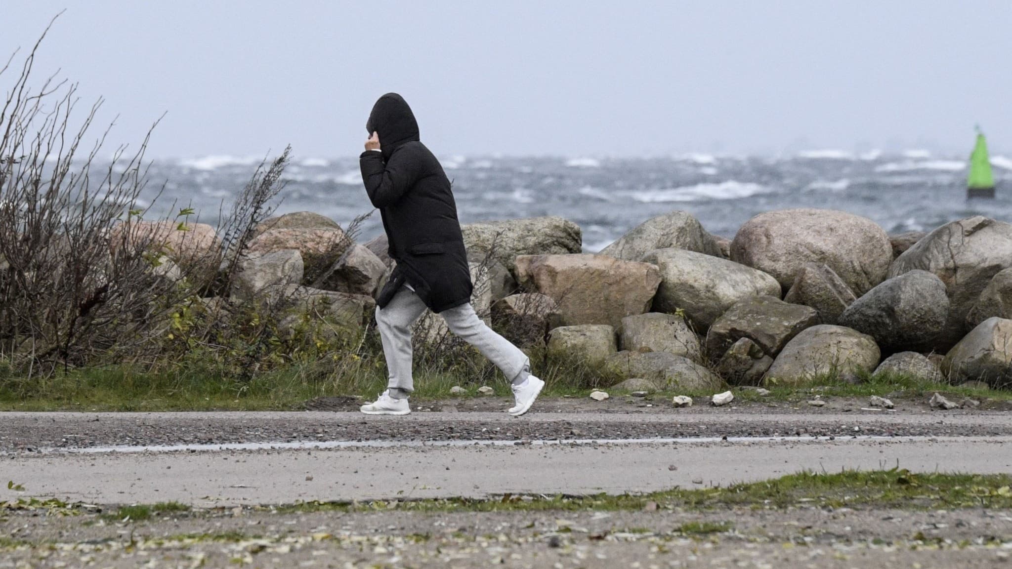 En person i mörk jacka går vid en kust med höga vågor och stark vind. Stenblock och grå himmel syns i bakgrunden, vilket förstärker känslan av stormigt väder.