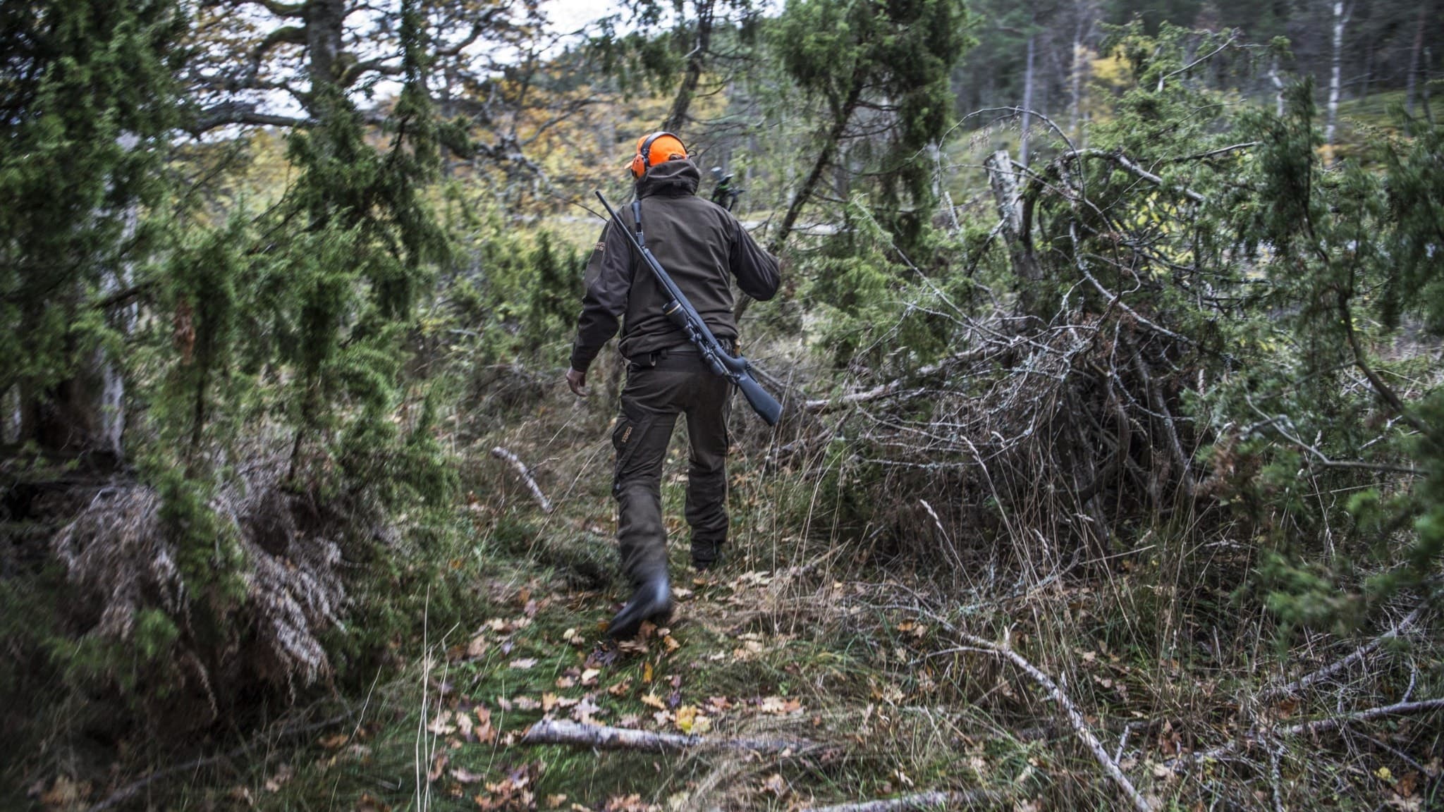 Man med gevär och brandgul mössa går i skogen.