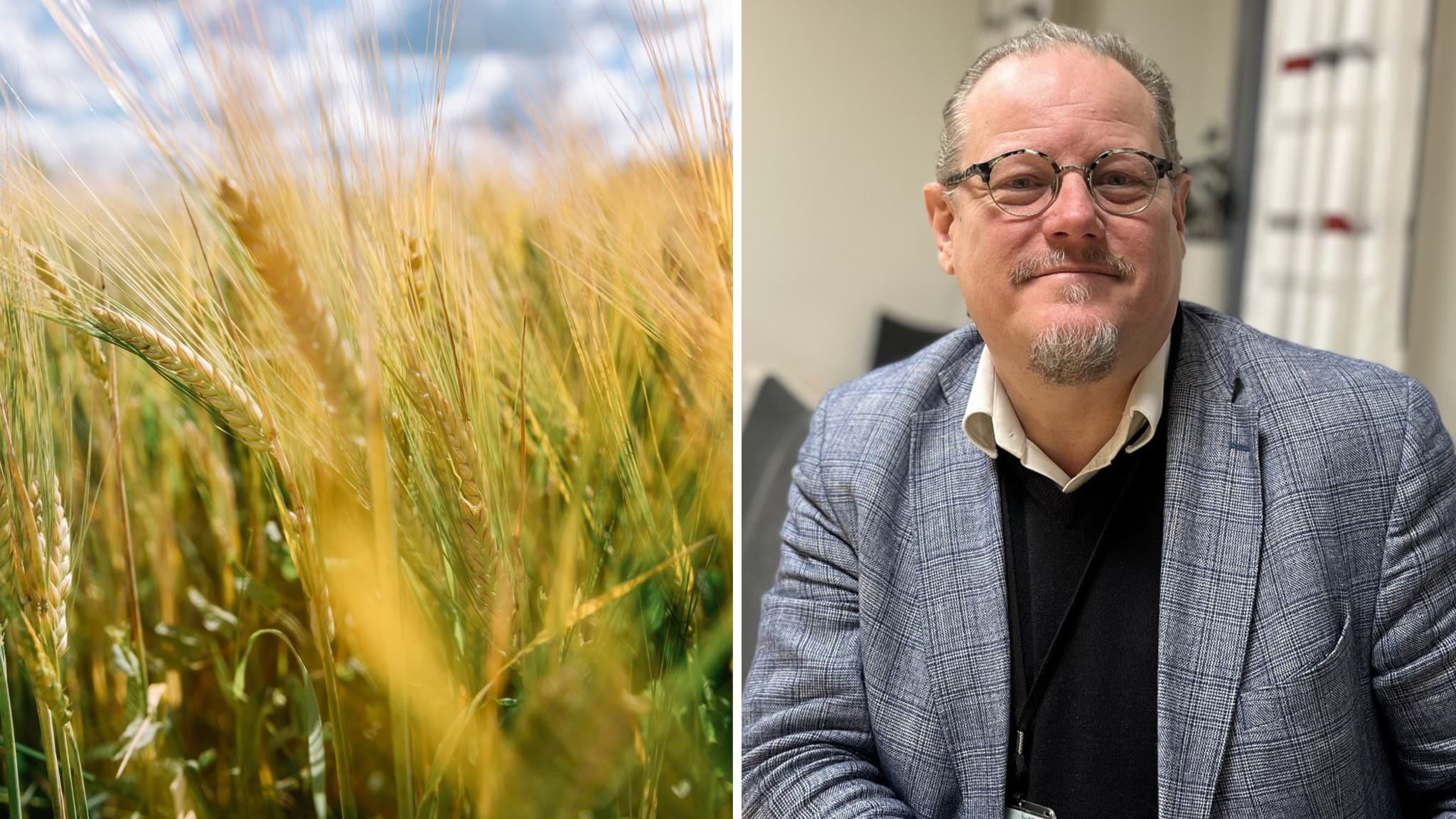Till vänster syns en närbild på vajande gyllene sädesfält under en klar himmel, till höger Anders Öhlund, beredskapsdirektör på länsstyrelsen, iklädd kavaj och tröja, sittande i en inomhusmiljö.